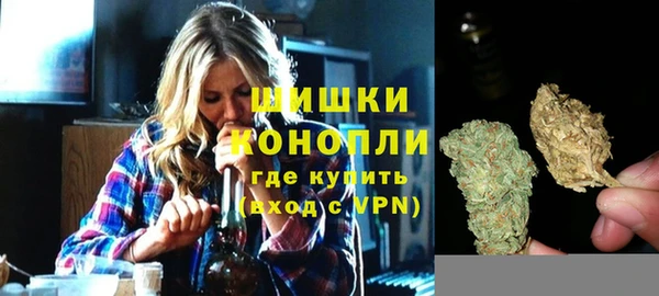 мдпв Касимов