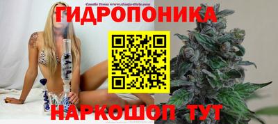 a pvp Свободный