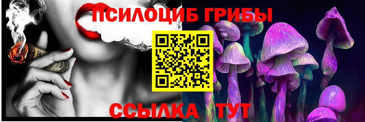 Северск  Псилоцибиновые грибы мухоморы  Вход с VPN 